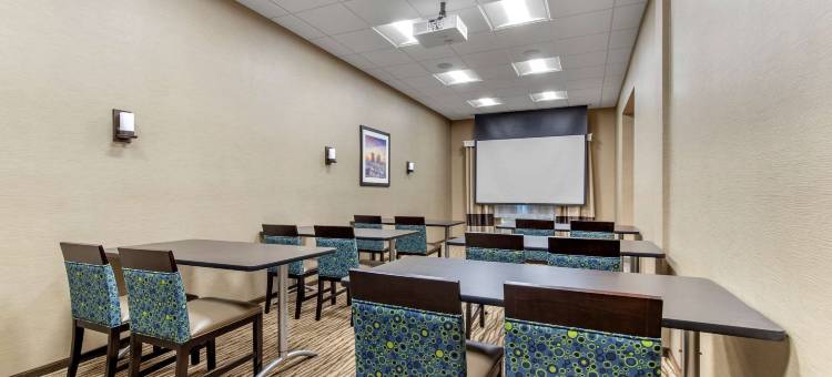 圣安东尼奥-萨姆休斯堡-军事医疗中心舒适套房酒店(Comfort Suites San Antonio Ft Sam Houston-Sammc Area)图片