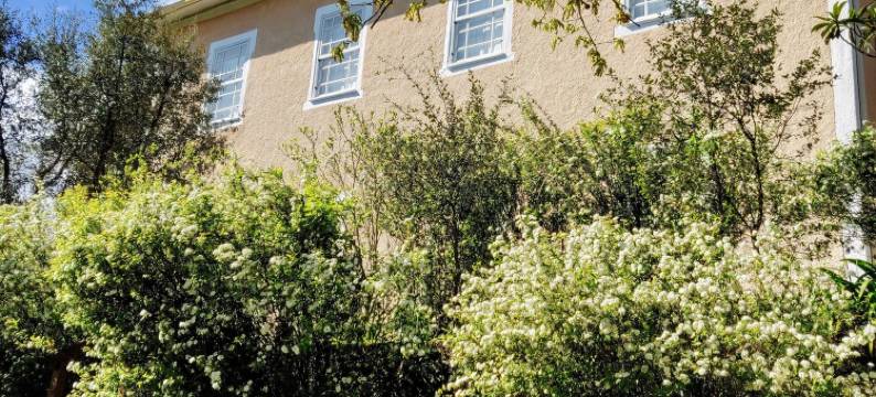 卡贝可民宿(Casa do Cabeço)图片