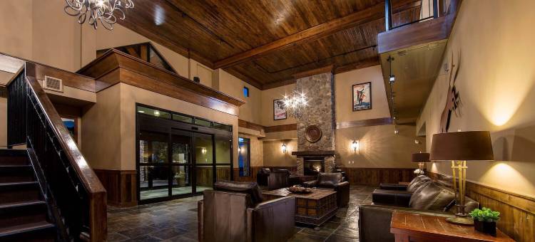 冰川登山旅馆(Glacier Mountaineer Lodge)图片