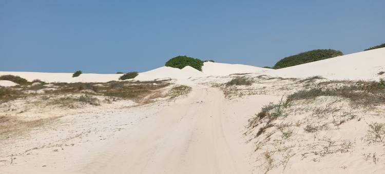 奥拉阿廷斯(Orla Atins)图片