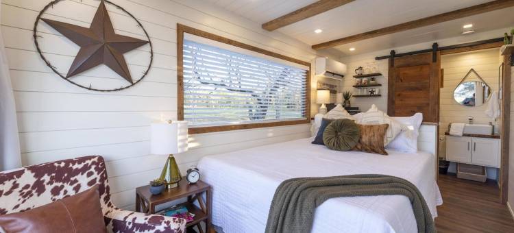 新孤星货运集装箱(New the Lone Star Shipping Container)图片