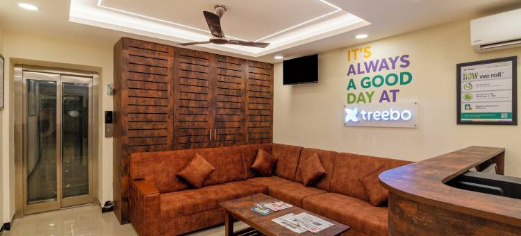 Treebo 拉克希塔(Treebo Rakshitha)图片