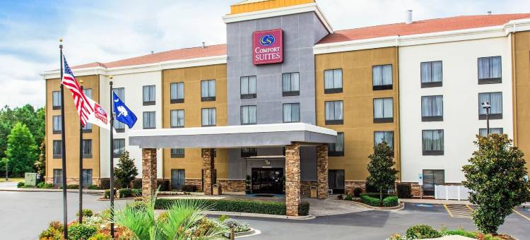 克林顿舒适套房酒店 - 近长老会学院(Comfort Suites Clinton Near Presbyterian College)图片