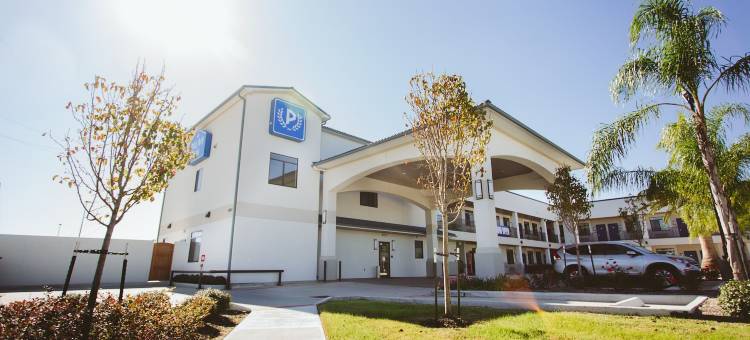 蓝城中心宫殿旅馆(Palace Inn Blue City Centre)图片