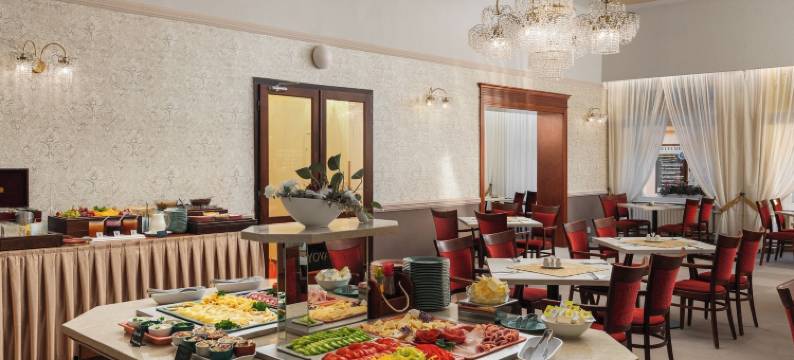 萨沃可豪泰Spa酒店(Savoy Spa & Kurhotel)图片