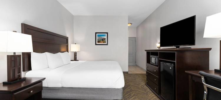 布鲁克希尔拉昆塔温德姆套房酒店(La Quinta Inn & Suites by Wyndham-Brookshire-West Katy)图片