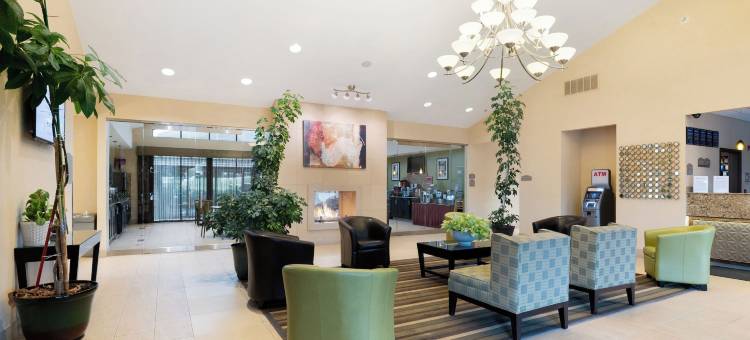 安提阿酒店及套房(Antioch Hotel & Suites)图片