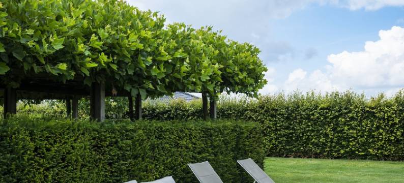 樱桃住宿加早餐旅馆(B&B la Cereza)图片