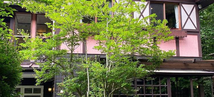 月光旅馆(Pension Moon Light)图片