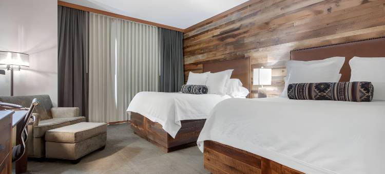 诺福克小屋及套房-阿桑德连锁酒店(Norfolk Lodge & Suites, Ascend Hotel Collection)图片