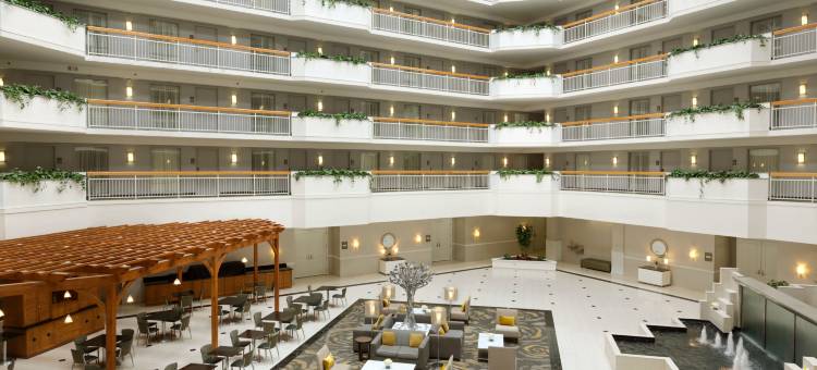 纽华克威尔明顿南希尔顿旗下大使套房酒店(Embassy Suites by Hilton Newark Wilmington South)图片