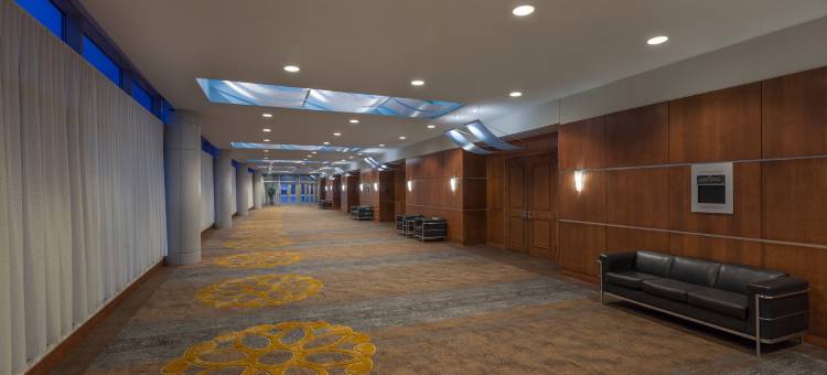 希尔顿酒店-BWI机场(Hilton Baltimore BWI Airport)图片