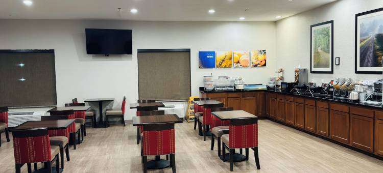 普利茅斯舒适套房酒店 - 近 US-30(Comfort Suites Plymouth Near US-30)图片