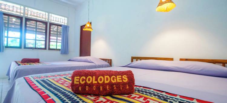 沙瓦大象生态小屋(The Satwa Elephant Ecolodge)图片