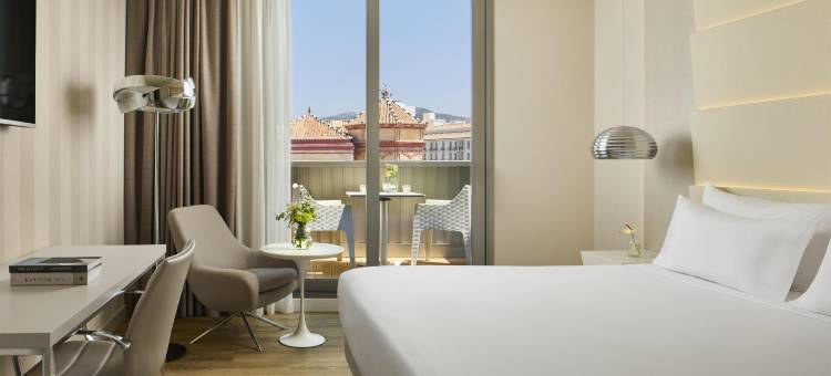 NH马拉加酒店(NH Malaga)图片