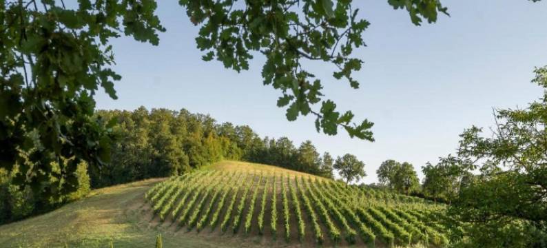 Orte Villa for 8 with Parking图片