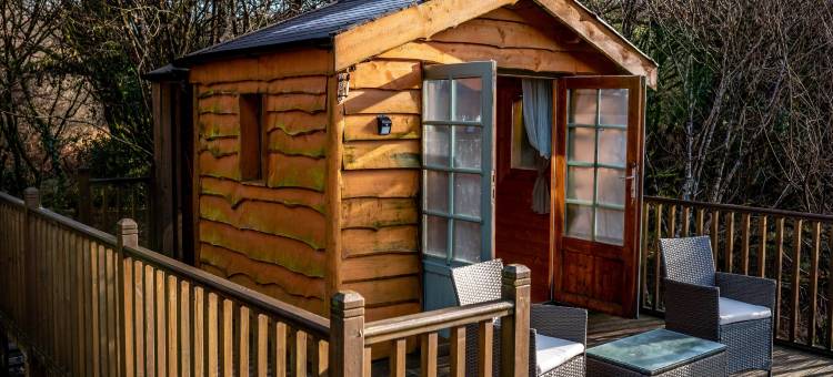 Treehouse in Germansweek near Dartmoor Trails图片