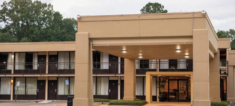 弗朗西斯酒店(Hotel Francis)图片