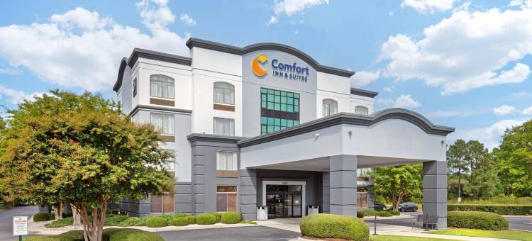 靠近东卡罗来纳大学的格林维尔舒适套房酒店(Comfort Inn & Suites Greenville Near East Carolina University)图片