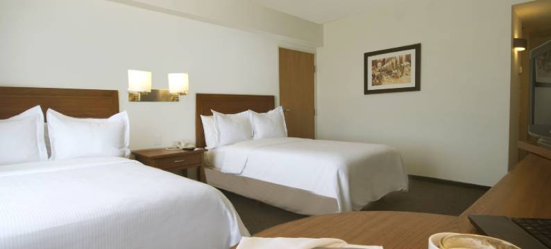 Fiesta Inn Express 普埃布拉 芬萨(Fiesta Inn Express Puebla Finsa)图片