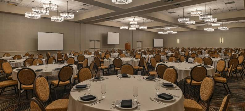 喜来登阿尔伯克基机场酒店(Sheraton Albuquerque Airport Hotel)图片