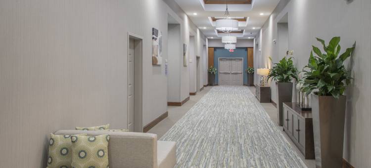 纽约州克利夫顿公园希尔顿花园酒店(Hilton Garden Inn Clifton Park)图片