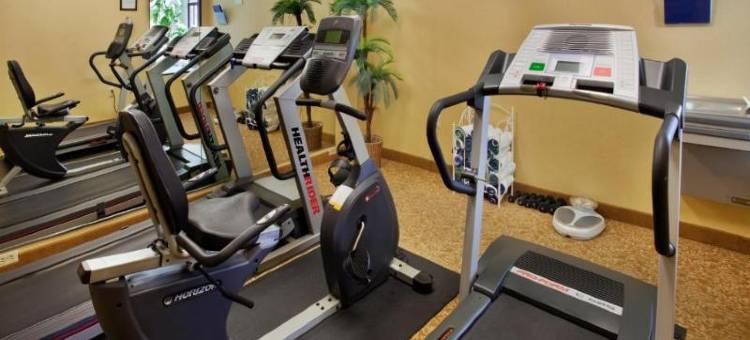 智选假日套房酒店圣路易斯西 - 芬顿(Holiday Inn Express & Suites ST. Louis West - Fenton)图片