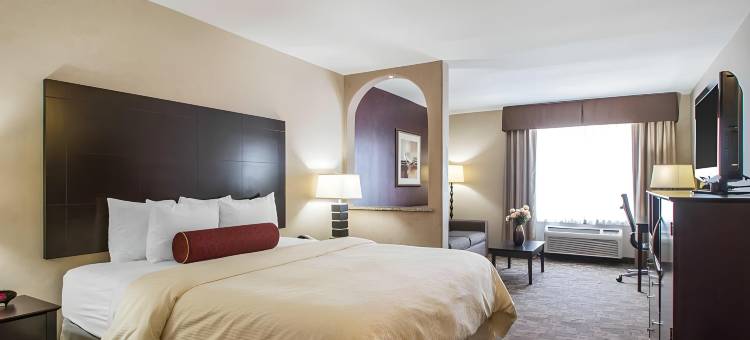 克拉丽奥酒店-埃尔姆赫斯特-橡树溪近I-88-I-290-I-294(Clarion Inn Elmhurst - Oak Brook Near I-88 I-290 I-294)图片