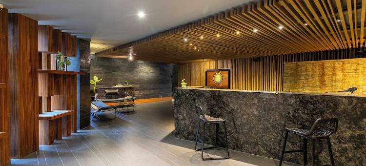 Devossion By Live Aqua Playa del Carmen All Inclusive - Adults Only图片