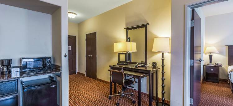 舒适套房酒店(Comfort Suites)图片