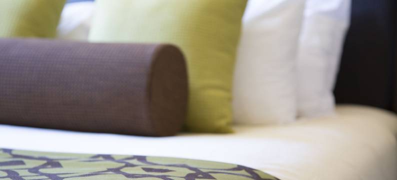 斯阔米什行政套房度假酒店(Executive Suites Hotel and Resort - Squamish BC)图片