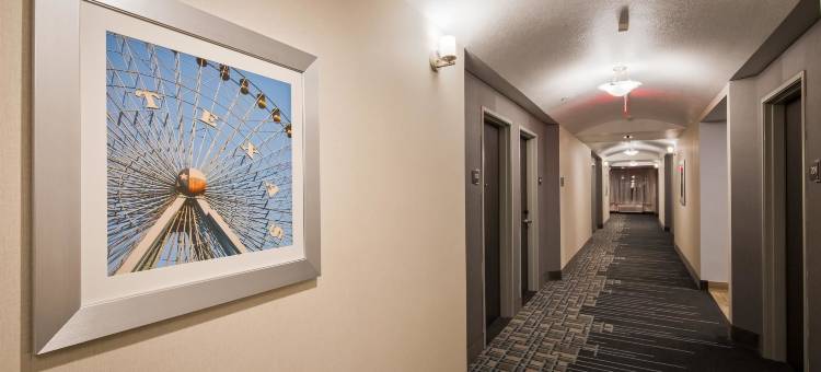 布达奥斯汀贝斯特韦斯特优质套房酒店(Best Western Plus Buda Austin Inn  Suites)图片