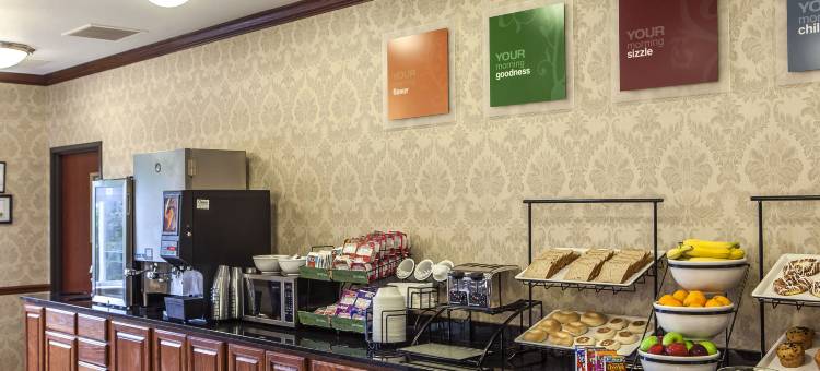 达文波特四城舒适套房酒店(Comfort Inn & Suites Davenport - Quad Cities)图片