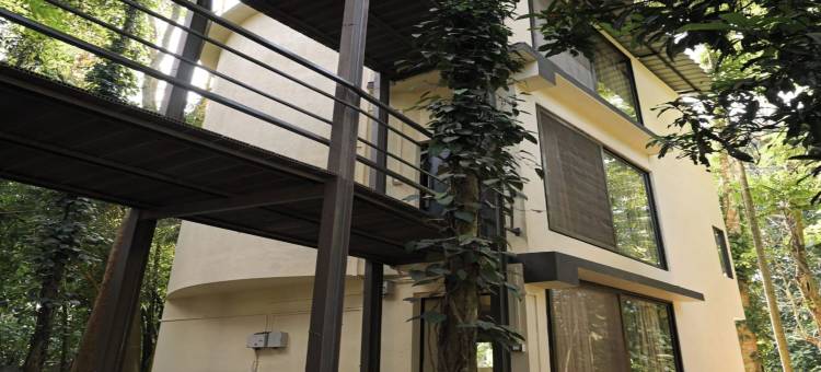 伊罗伊卡齐兰加(Irroi Kaziranga)图片