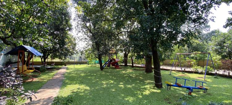 绿色丛林度假村(The Green Jungle Resort)图片