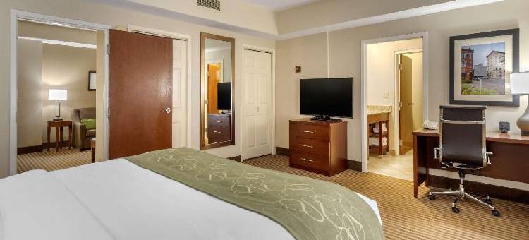 约翰逊城舒适套房酒店-近大学城(Comfort Suites Johnson City Near University)图片