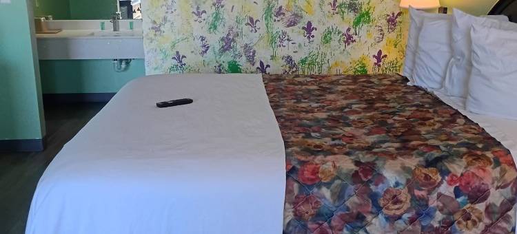 新奥尔良旅馆(Nola Inn)图片