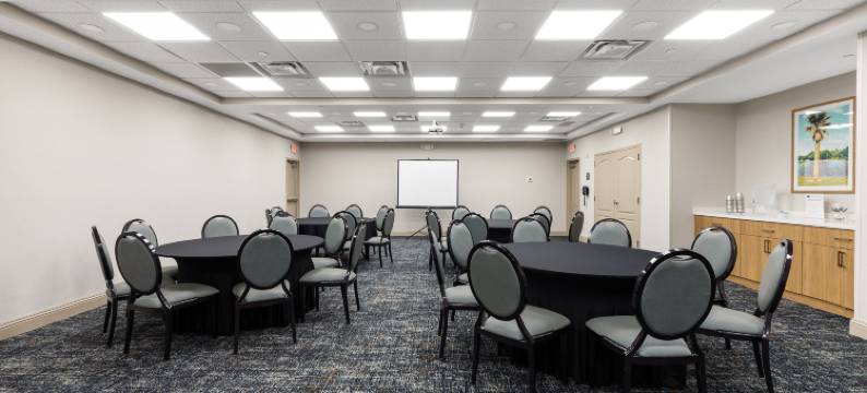 坦帕韦斯利查普尔欢朋套房酒店(Hampton Inn & Suites Tampa-Wesley Chapel)图片