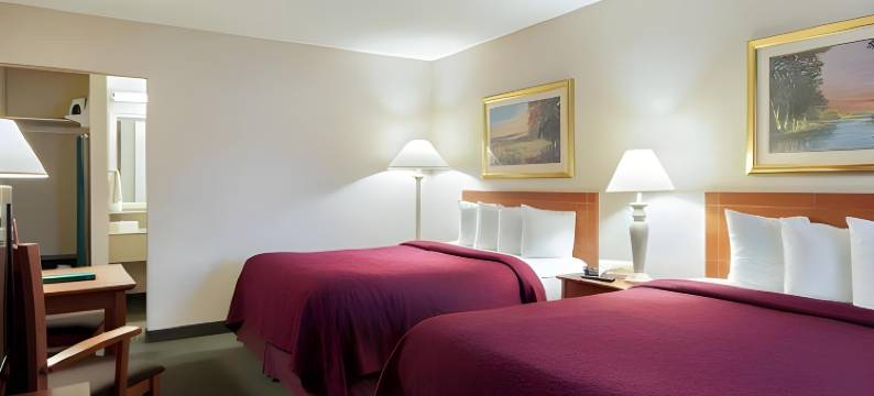 机场东凯艺酒店(Quality Inn Airport East)图片