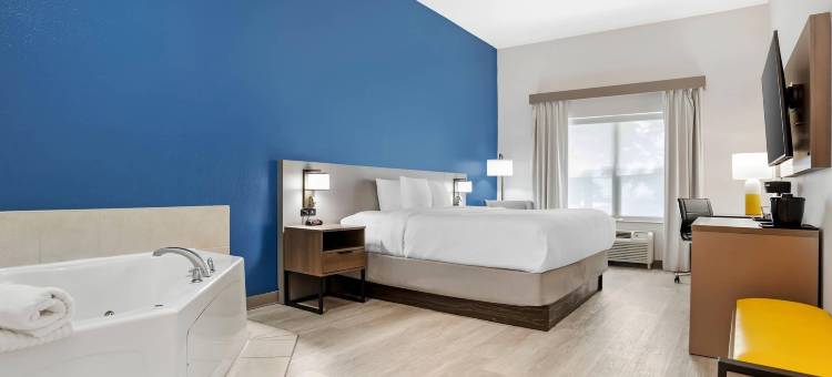 舒适套房酒店(Comfort Inn & Suites)图片