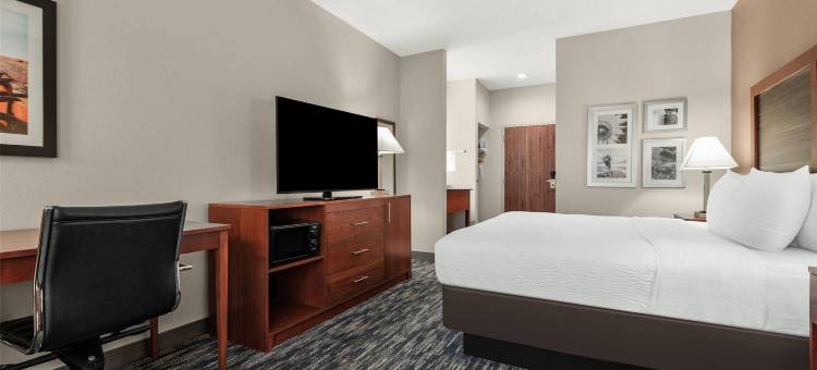 米德韦斯特城廷克空军基地拉昆塔温德姆套房酒店(La Quinta Inn & Suites by Wyndham Midwest City - Tinker AFB)图片