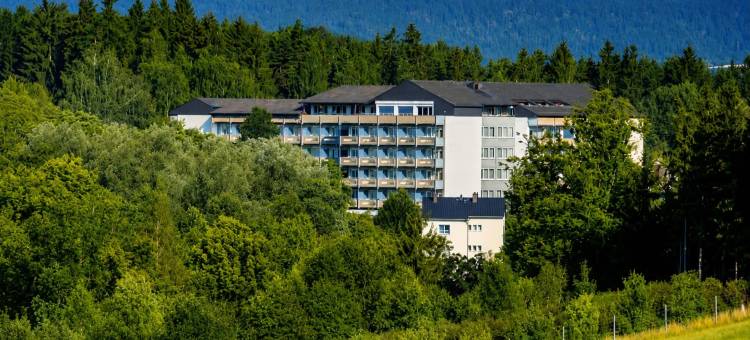 阿莱桑德斯巴德酒店(Hotel Alexandersbad)图片