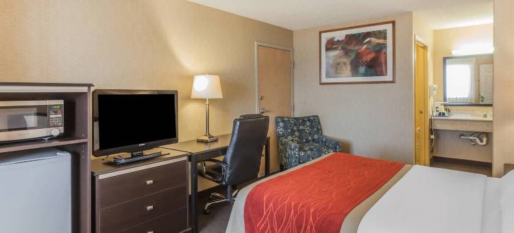 海湾舒适酒店(Comfort Inn on the Bay)图片