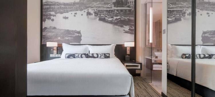 新加坡罗伯逊码头诺富特酒店(Novotel Singapore Robertson Quay)图片