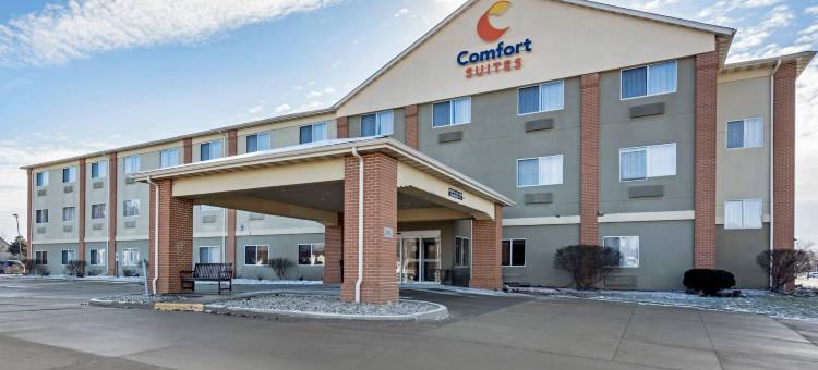 大学区舒适套房标准酒店(Comfort Suites Normal University Area)图片