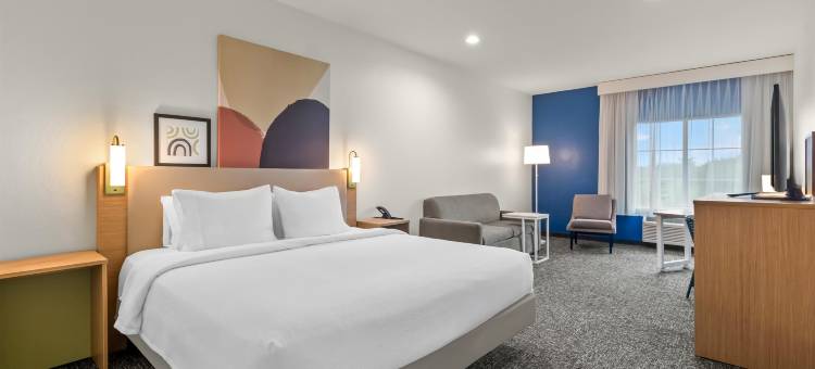 密苏里城希尔顿Spark酒店(Spark by Hilton Missouri City)图片