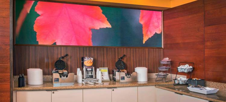 威廉斯堡万枫酒店及套房(Fairfield Inn & Suites Williamsburg)图片