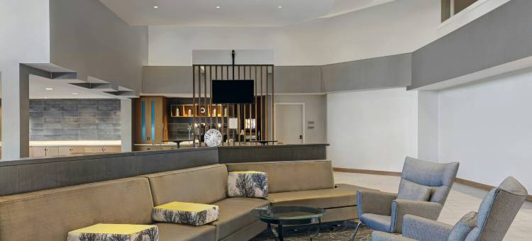 棕榈沙漠万豪SpringHill Suites酒店(SpringHill Suites Palm Desert)图片