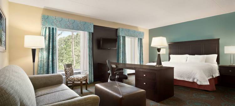 布拉夫顿太阳城欢朋套房酒店(Hampton Inn & Suites Bluffton-Sun City)图片