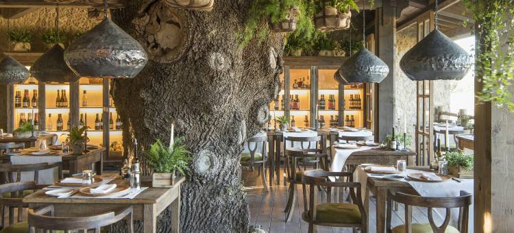 博尔戈圣彼得酒店(Borgo Santo Pietro)图片